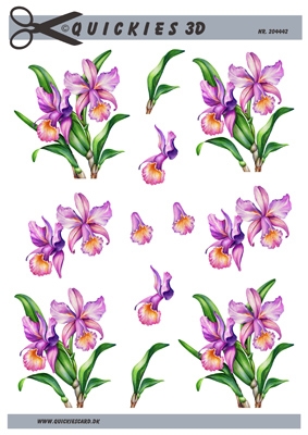 3D Lyslilla iris